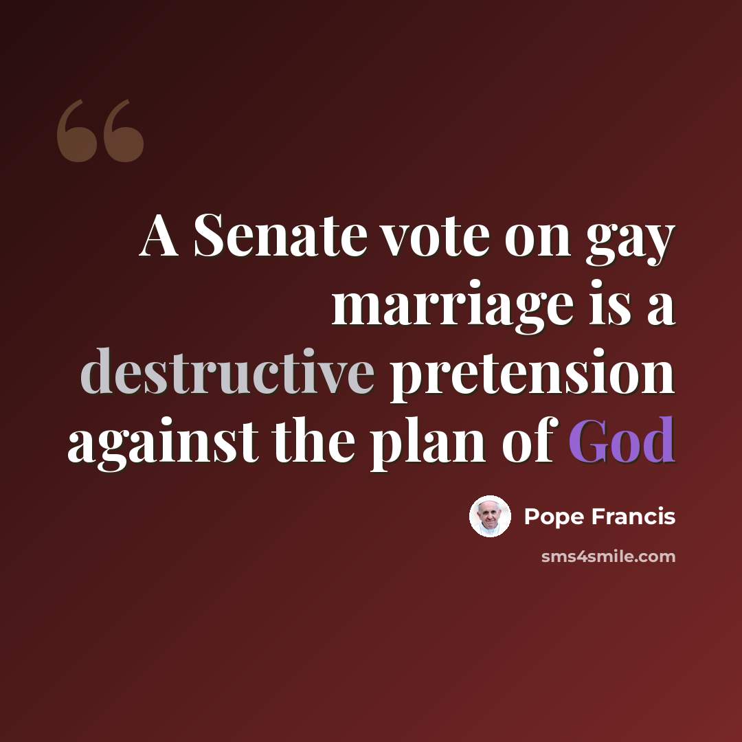 “A Senate vote on gay marriage is a destructive pretension against the plan of God” quote by Pope Francis