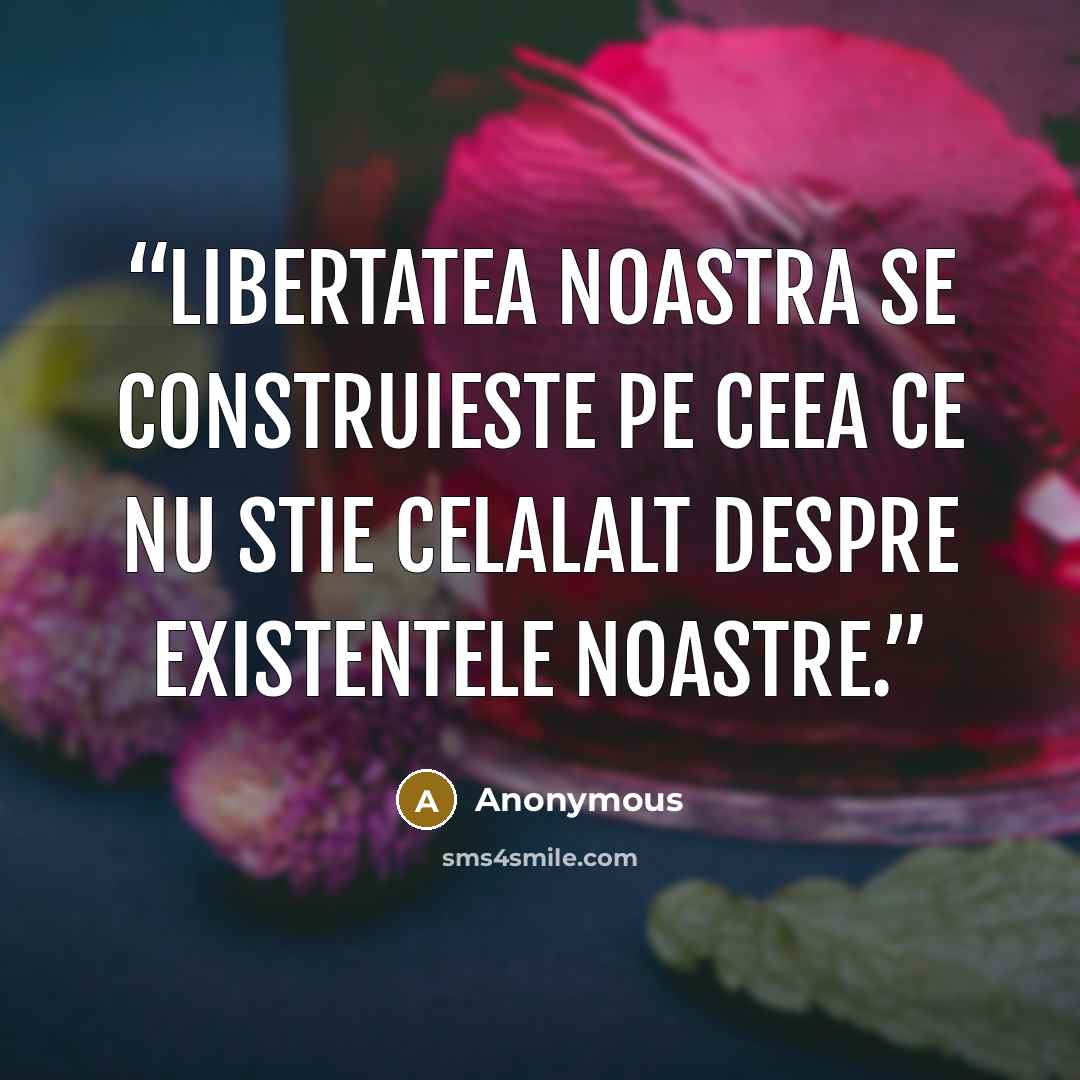 “Libertatea noastra se construieste pe ceea ce nu stie celalalt despre existentele noastre.” quote by Anonymous