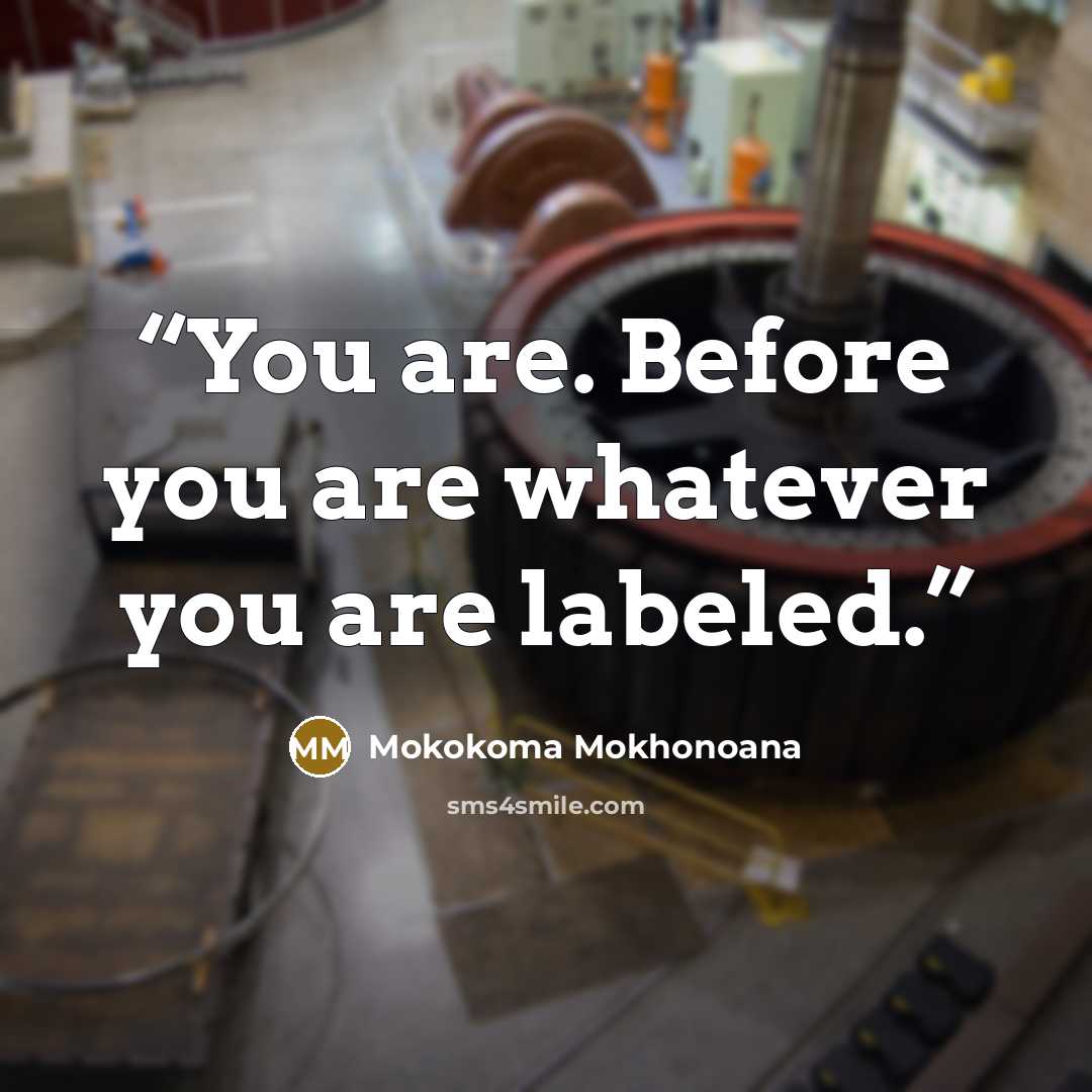 “You are. Before you are whatever you are labeled.” quote by Mokokoma Mokhonoana