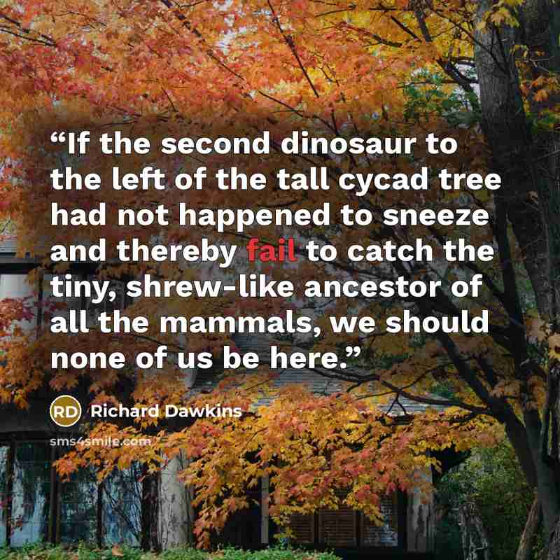 “If the second dinosaur to the left of the tall cycad tree had not happened to sneeze and thereby fail to catch the tiny, shrew-like ancestor of all the mammals, we should none of us be here.” quote by Richard Dawkins