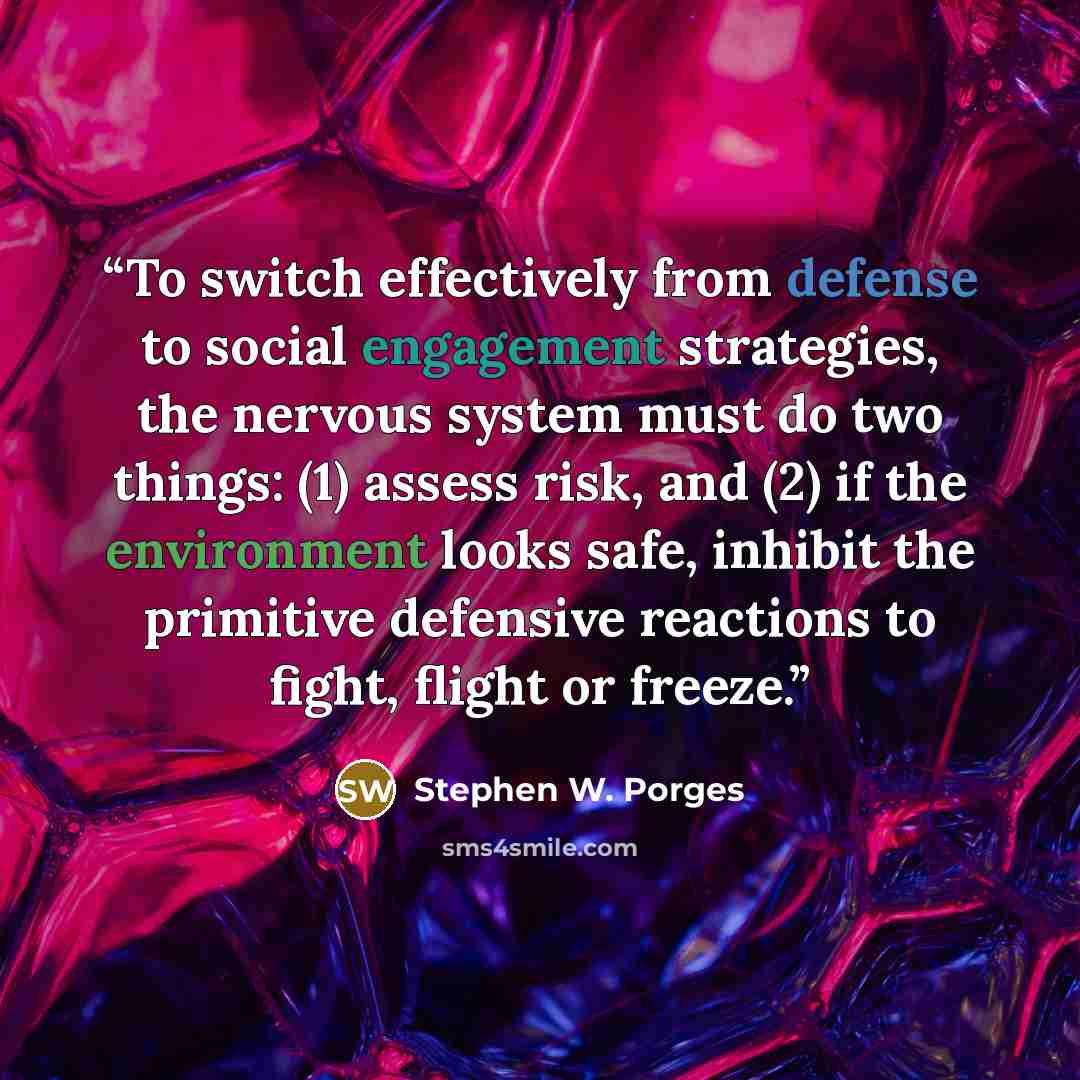 “To switch effectively from defense to social engagement strategies, the nervous system must do two things: (1) assess risk, and (2) if the environment looks safe, inhibit the primitive defensive reactions to fight, flight or freeze.” quote by Stephen W. Porges