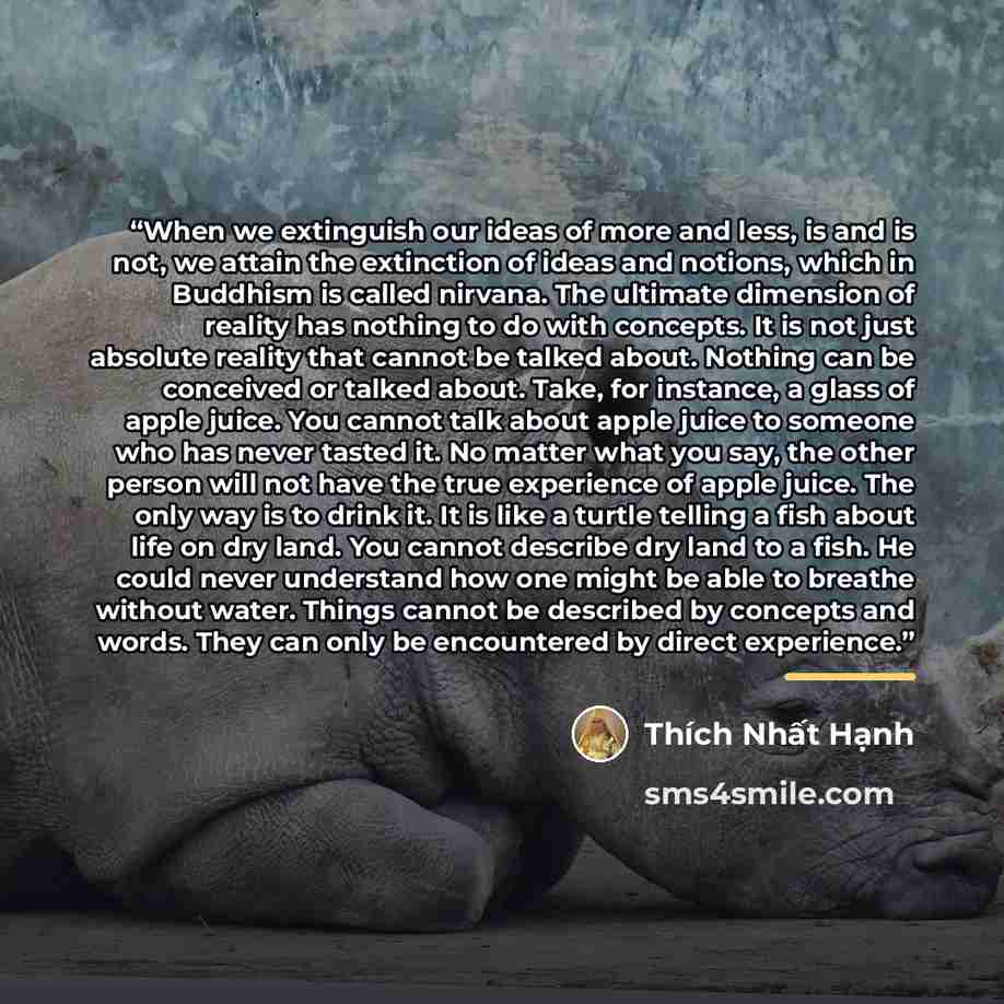 “When we extinguish our ideas of more and less, is and is not, we attain the extinction of ideas and notions, which in Buddhism is called nirvana. The ultimate dimension of reality has nothing to do with concepts. It is not just absolute reality that cannot be talked about. Nothing can be conceived…” quote by Thích Nhất Hạnh