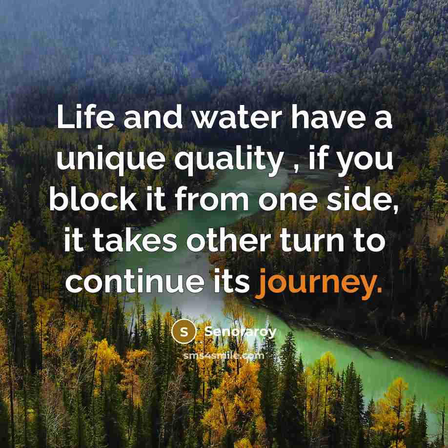 “Life and water have a unique quality , if you block it from one side, it takes other turn to continue its journey.” quote by Senoraroy