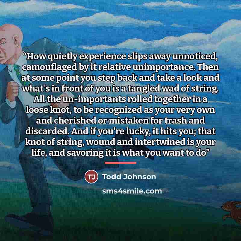 “How quietly experience slips away unnoticed, camouflaged by it relative unimportance. Then at some point you step back and take a look and what's in front of you is a tangled wad of string. All the un-importants rolled together in a loose knot, to be recognized as your very own and cherished or…” quote by Todd Johnson