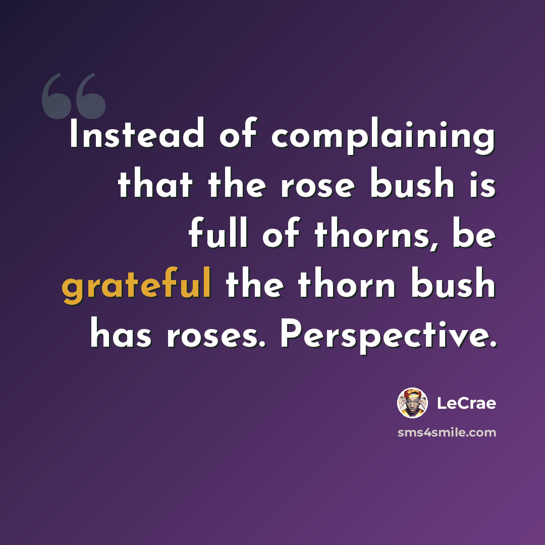 “Instead of complaining that the rose bush is full of thorns, be grateful the thorn bush has roses. Perspective.” quote by LeCrae
