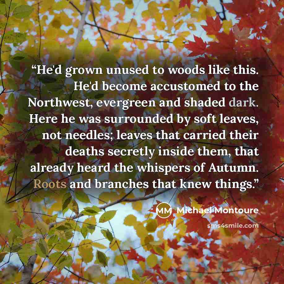 “He'd grown unused to woods like this. He'd become accustomed to the Northwest, evergreen and shaded dark. Here he was surrounded by soft leaves, not needles; leaves that carried their deaths secretly inside them, that already heard the whispers of Autumn. Roots and branches that knew things.” quote by Michael Montoure