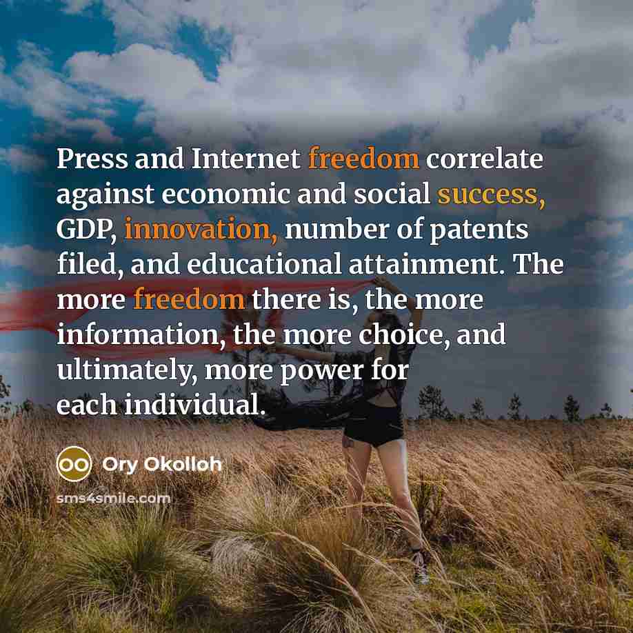 “Press and Internet freedom correlate against economic and social success, GDP, innovation, number of patents filed, and educational attainment. The more freedom there is, the more information, the more choice, and ultimately, more power for each individual.” quote by Ory Okolloh