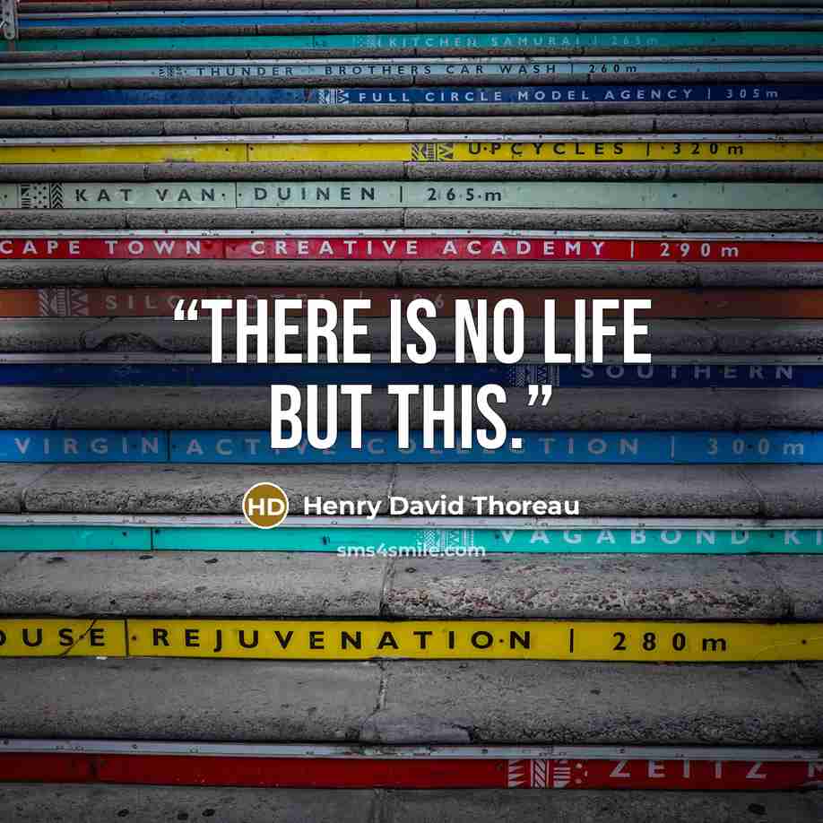 “There is no life but this.” quote by Henry David Thoreau