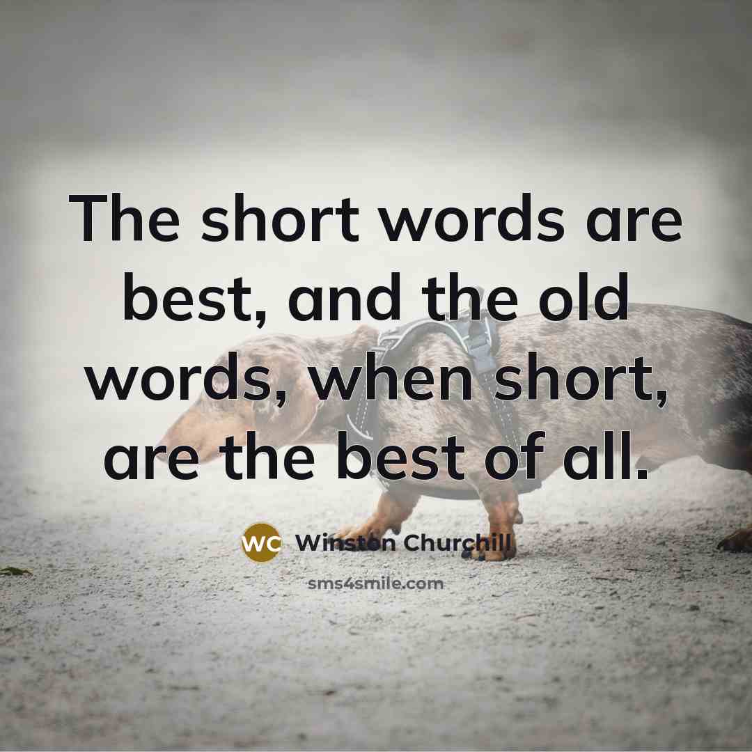 “The short words are best, and the old words, when short, are the best of all.” quote by Winston Churchill