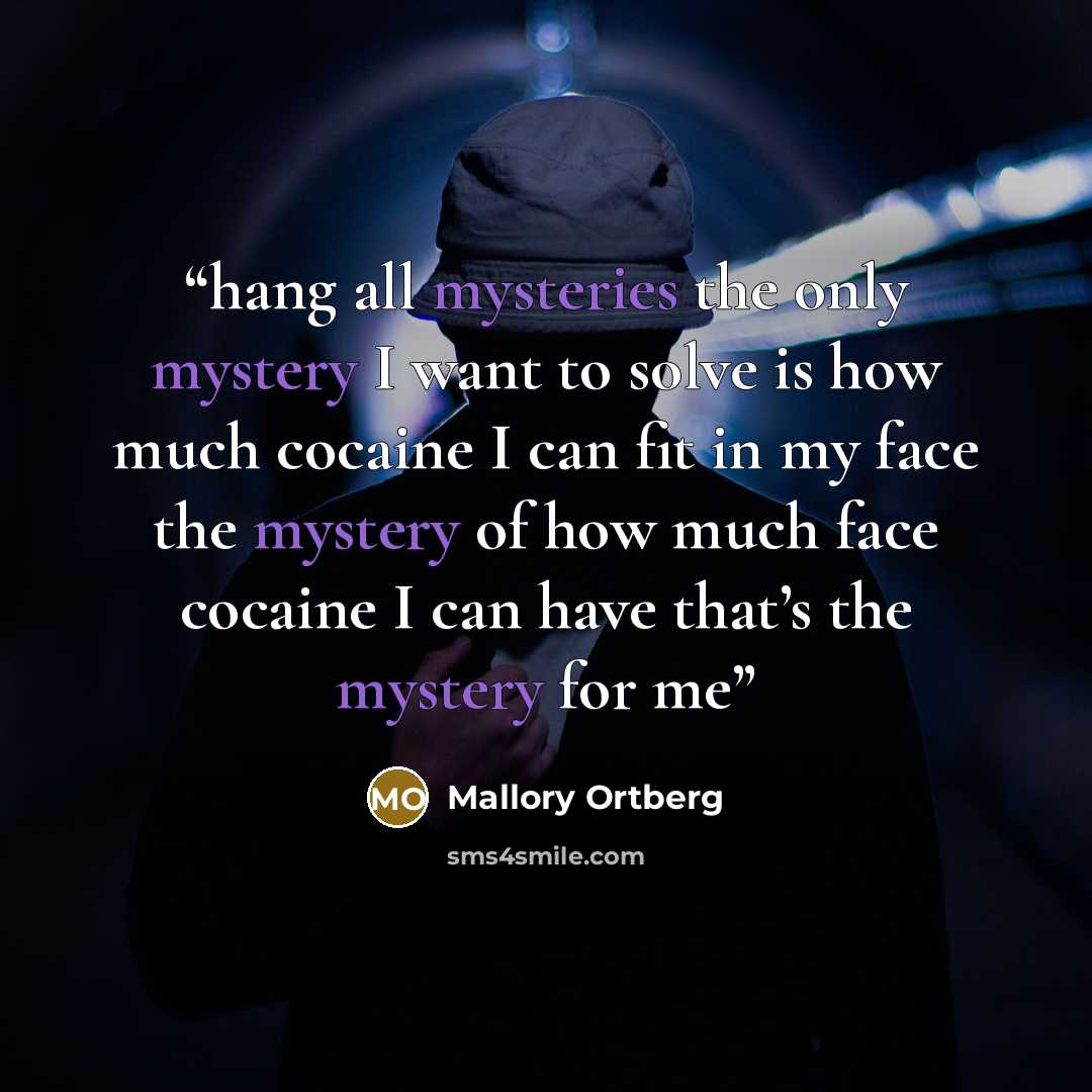 “hang all mysteries the only mystery I want to solve is how much cocaine I can fit in my face the mystery of how much face cocaine I can have that’s the mystery for me” quote by Mallory Ortberg
