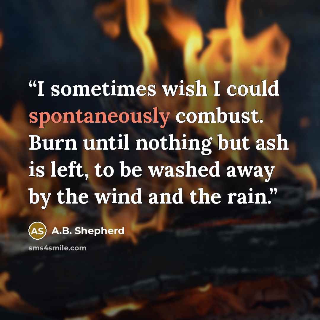 “I sometimes wish I could spontaneously combust. Burn until nothing but ash is left, to be washed away by the wind and the rain.” quote by A.B. Shepherd