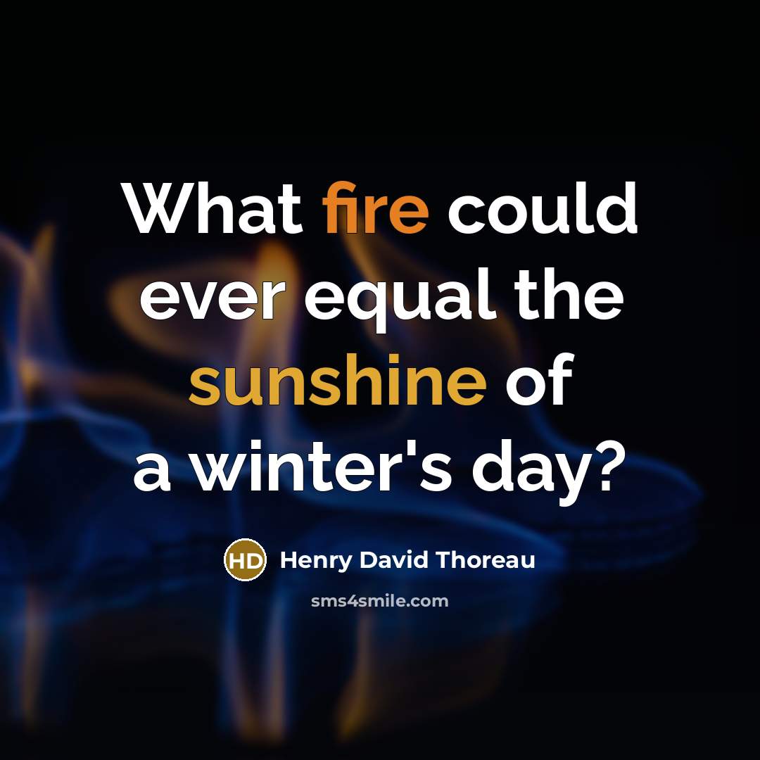 “What fire could ever equal the sunshine of a winter's day?” quote by Henry David Thoreau
