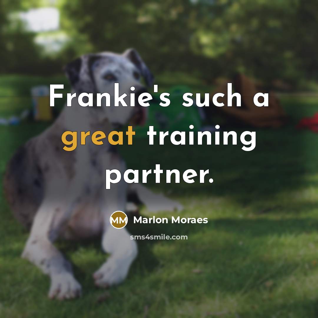 “Frankie's such a great training partner.” quote by Marlon Moraes