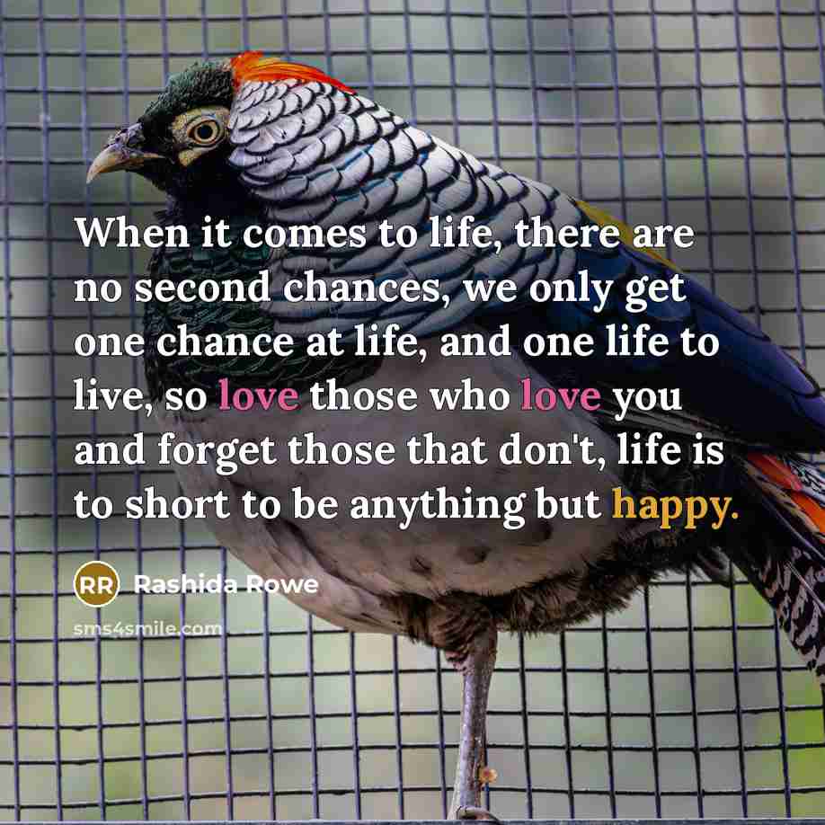 “When it comes to life, there are no second chances, we only get one chance at life, and one life to live, so love those who love you and forget those that don't, life is to short to be anything but happy.” quote by Rashida Rowe
