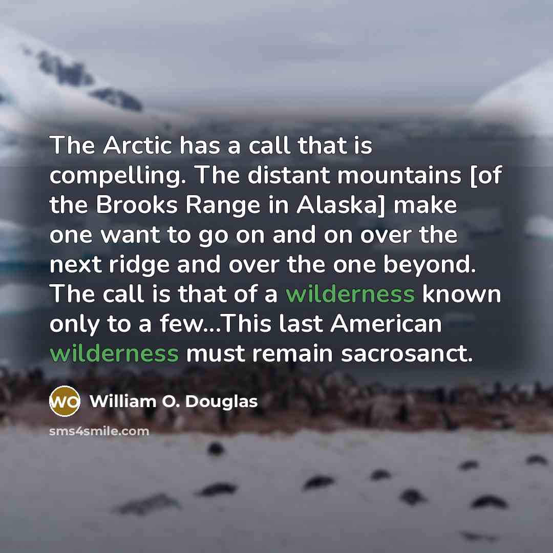 “The Arctic has a call that is compelling. The distant mountains [of the Brooks Range in Alaska] make one want to go on and on over the next ridge and over the one beyond. The call is that of a wilderness known only to a few...This last American wilderness must remain sacrosanct.” quote by William O. Douglas