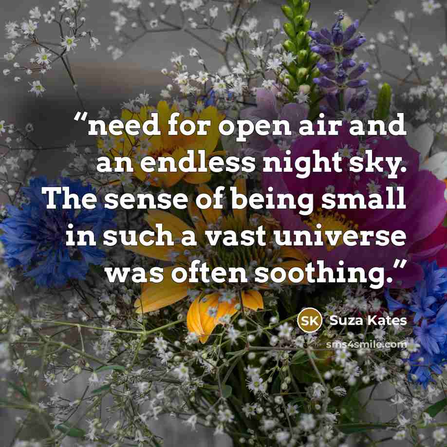 “need for open air and an endless night sky. The sense of being small in such a vast universe was often soothing.” quote by Suza Kates