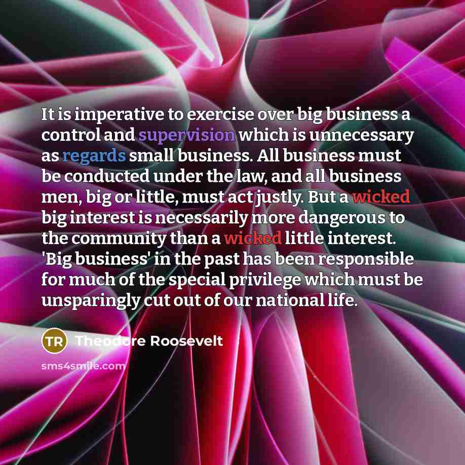 “It is imperative to exercise over big business a control and supervision which is unnecessary as regards small business. All business must be conducted under the law, and all business men, big or little, must act justly. But a wicked big interest is necessarily more dangerous to the community than…” quote by Theodore Roosevelt