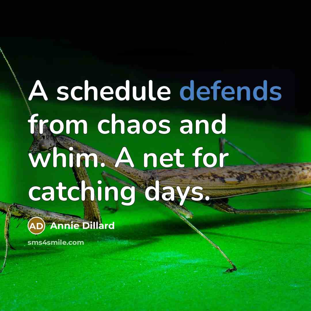 “A schedule defends from chaos and whim. A net for catching days.” quote by Annie Dillard