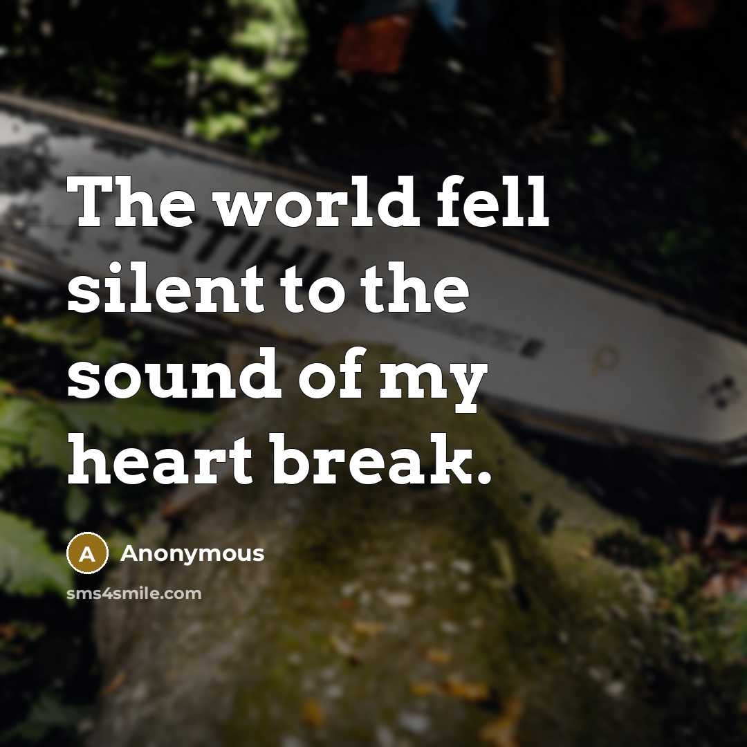 “The world fell silent to the sound of my heart break.” quote by Anonymous