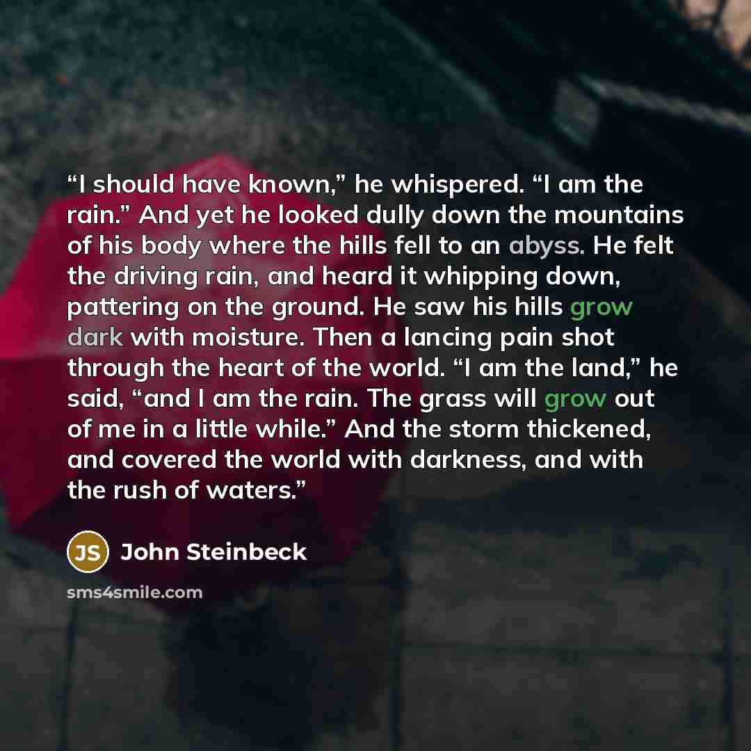 “I should have known,” he whispered. “I am the rain.” And yet he looked dully down the mountains of his body where the hills fell to an abyss. He felt the driving rain, and heard it whipping down, pattering on the ground. He saw his hills grow dark with moisture. Then a lancing pain shot through…” quote by John Steinbeck