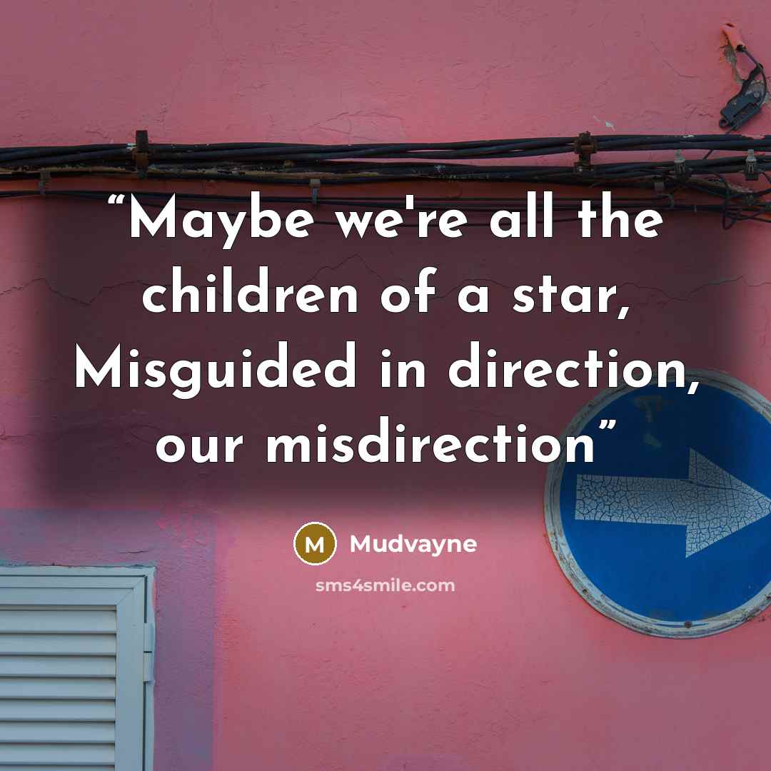 “Maybe we're all the children of a star, Misguided in direction, our misdirection” quote by Mudvayne