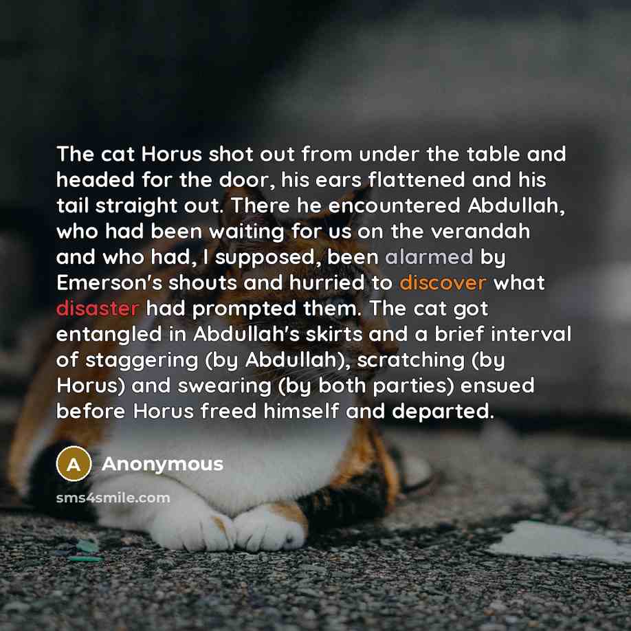 “The cat Horus shot out from under the table and headed for the door, his ears flattened and his tail straight out. There he encountered Abdullah, who had been waiting for us on the verandah and who had, I supposed, been alarmed by Emerson's shouts and hurried to discover what disaster had prompted…” quote by Anonymous