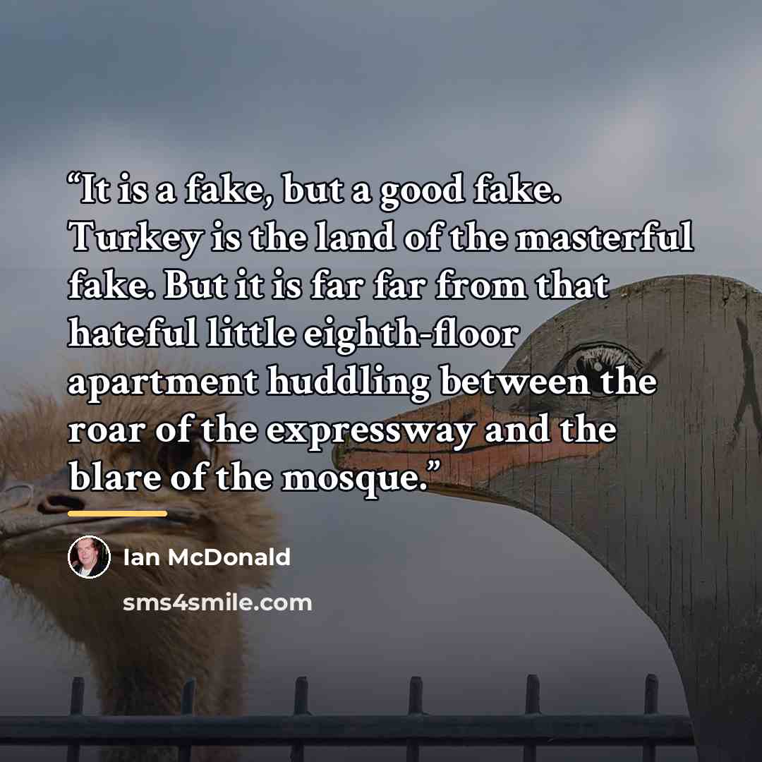 “It is a fake, but a good fake. Turkey is the land of the masterful fake. But it is far far from that hateful little eighth-floor apartment huddling between the roar of the expressway and the blare of the mosque.” quote by Ian McDonald