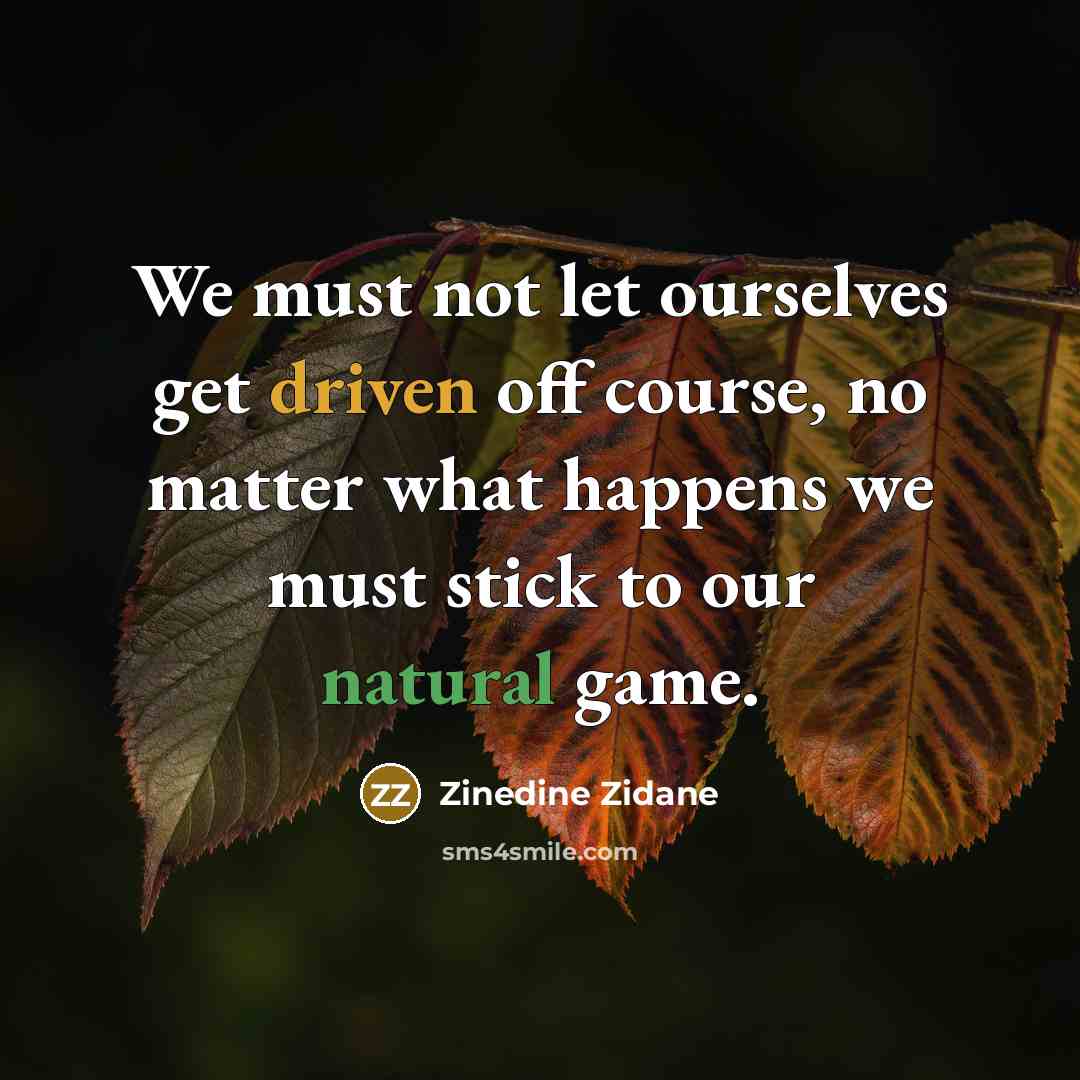 “We must not let ourselves get driven off course, no matter what happens we must stick to our natural game.” quote by Zinedine Zidane