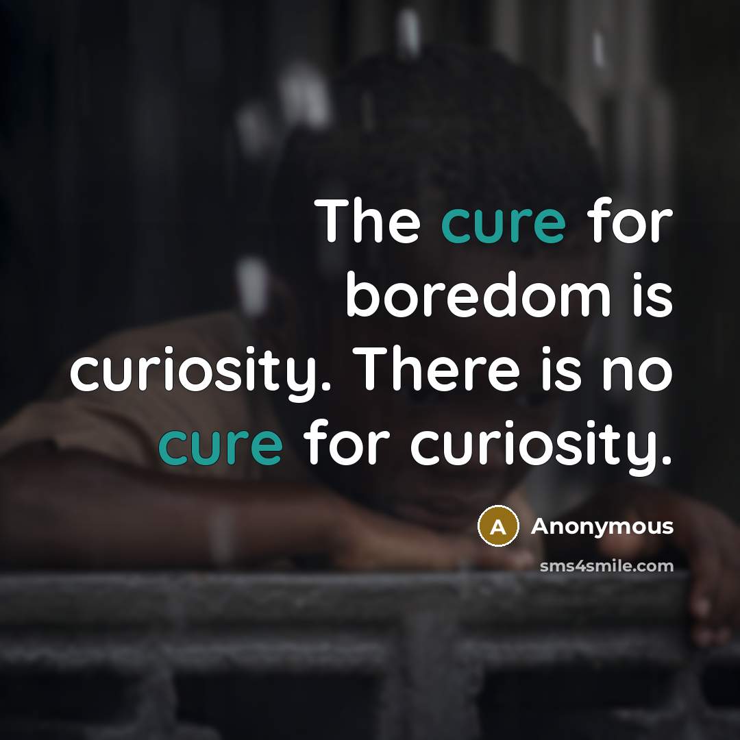 “The cure for boredom is curiosity. There is no cure for curiosity.” quote by Anonymous