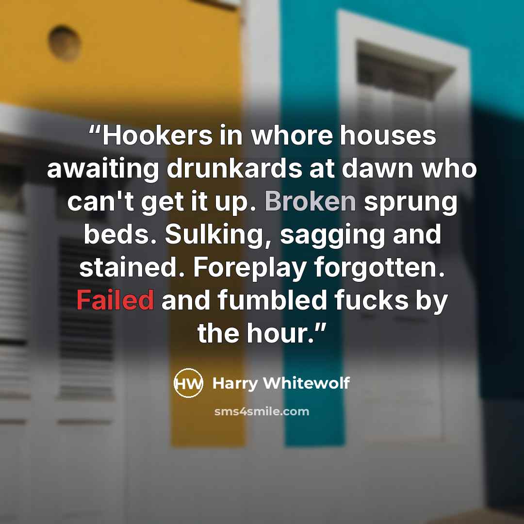 “Hookers in whore houses awaiting drunkards at dawn who can't get it up. Broken sprung beds. Sulking, sagging and stained. Foreplay forgotten. Failed and fumbled fucks by the hour.” quote by Harry Whitewolf