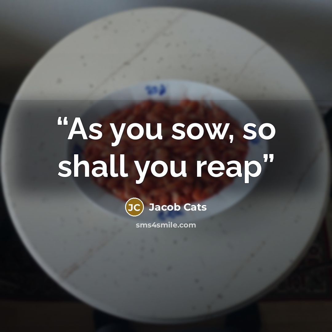 “As you sow, so shall you reap” quote by Jacob Cats