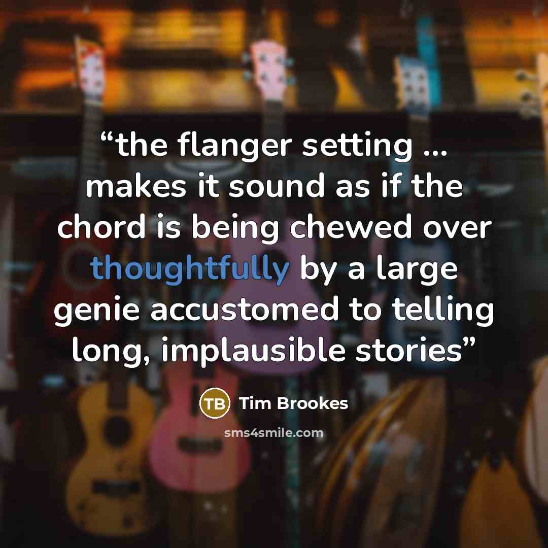 “the flanger setting ... makes it sound as if the chord is being chewed over thoughtfully by a large genie accustomed to telling long, implausible stories” quote by Tim Brookes