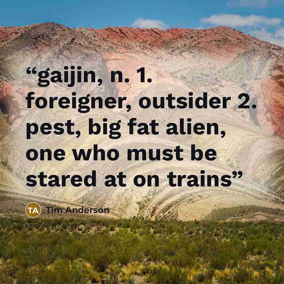 “gaijin, n. 1. foreigner, outsider 2. pest, big fat alien, one who must be stared at on trains” quote by Tim Anderson