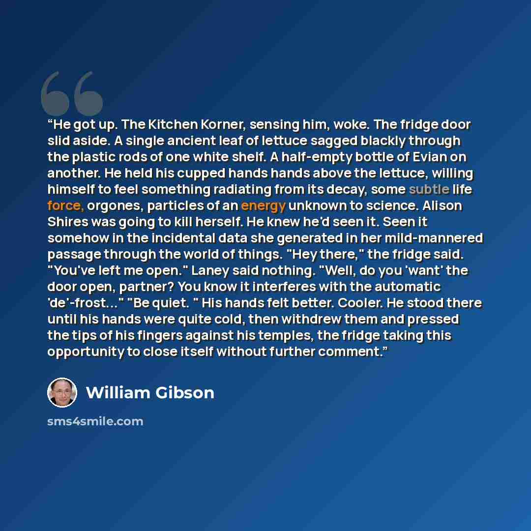 “He got up. The Kitchen Korner, sensing him, woke. The fridge door slid aside. A single ancient leaf of lettuce sagged blackly through the plastic rods of one white shelf. A half-empty bottle of Evian on another. He held his cupped hands hands above the lettuce, willing himself to feel something…” quote by William Gibson