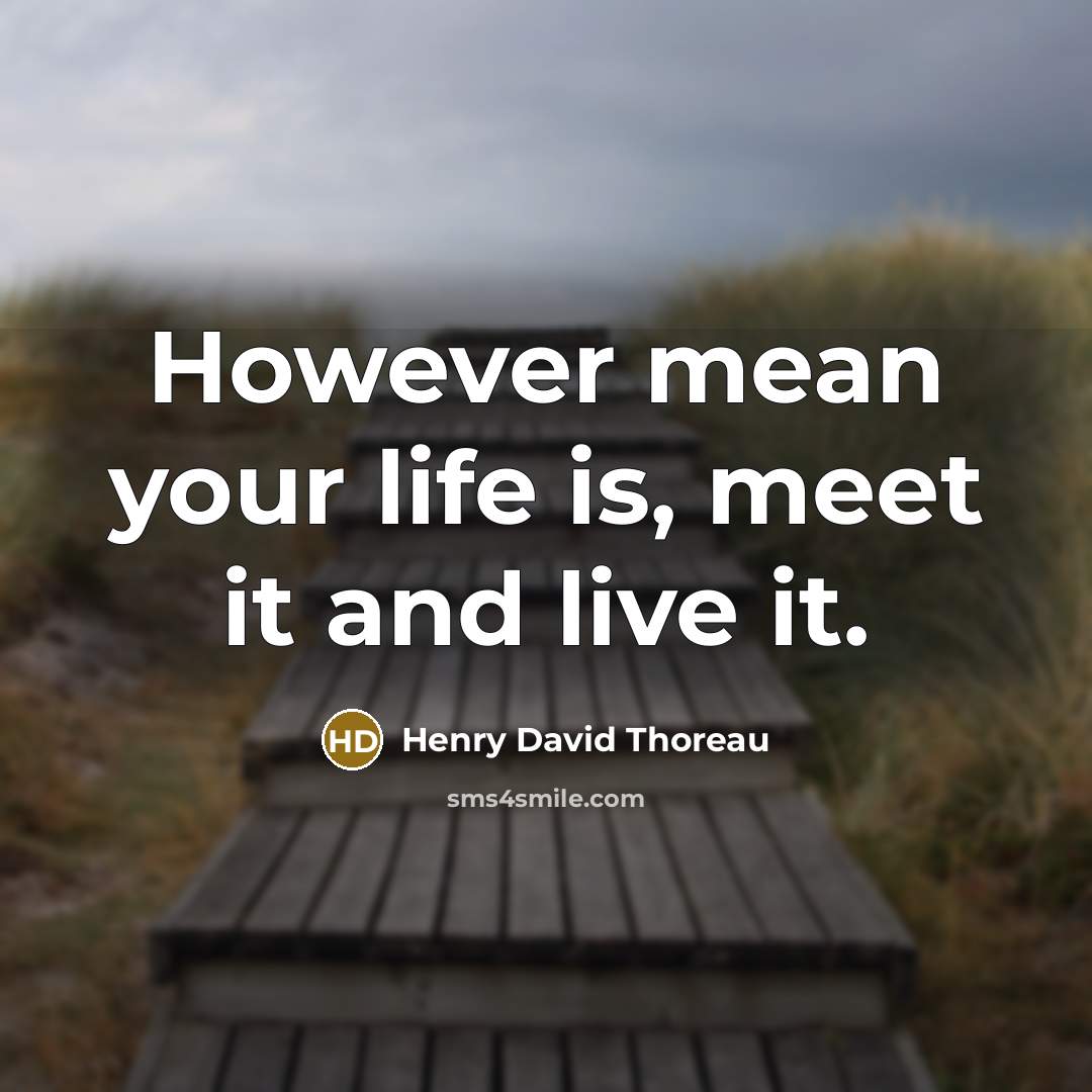 “However mean your life is, meet it and live it.” quote by Henry David Thoreau