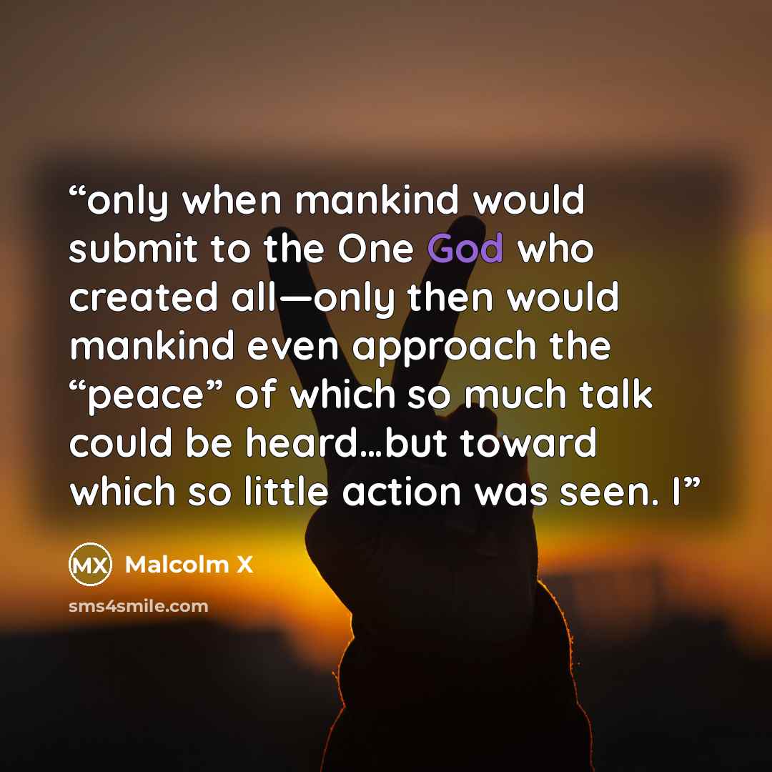 “only when mankind would submit to the One God who created all—only then would mankind even approach the “peace” of which so much talk could be heard…but toward which so little action was seen. I” quote by Malcolm X
