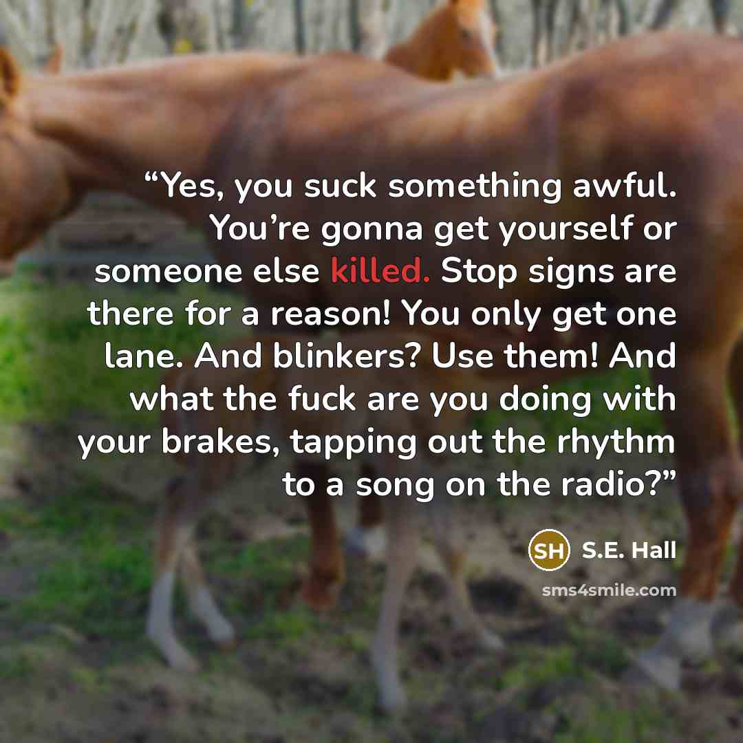 “Yes, you suck something awful. You’re gonna get yourself or someone else killed. Stop signs are there for a reason! You only get one lane. And blinkers? Use them! And what the fuck are you doing with your brakes, tapping out the rhythm to a song on the radio?” quote by S.E. Hall