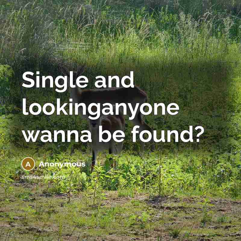 “Single and lookinganyone wanna be found?” quote by Anonymous