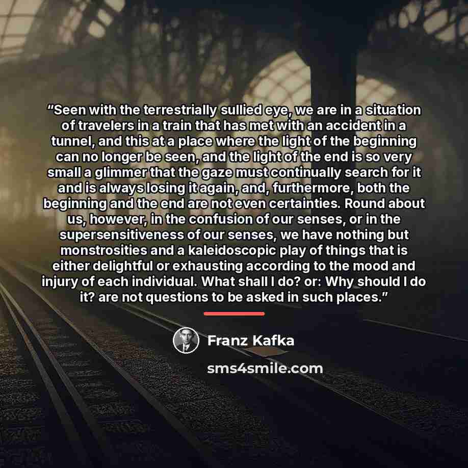 “Seen with the terrestrially sullied eye, we are in a situation of travelers in a train that has met with an accident in a tunnel, and this at a place where the light of the beginning can no longer be seen, and the light of the end is so very small a glimmer that the gaze must continually search…” quote by Franz Kafka