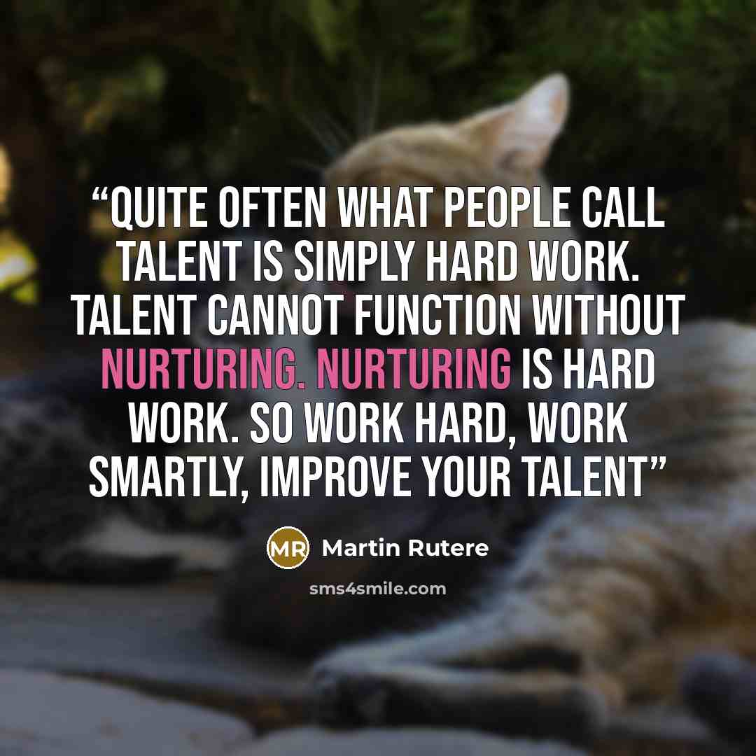 “Quite often what people call talent is simply hard work. Talent cannot function without nurturing. Nurturing is hard work. So work hard, work smartly, improve your talent” quote by Martin Rutere
