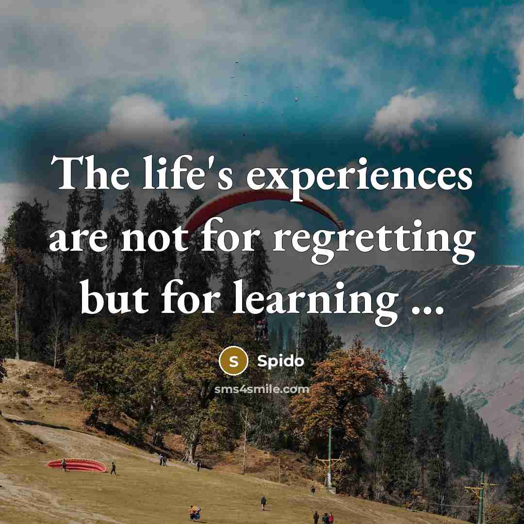 “The life's experiences are not for regretting but for learning ...” quote by Spido