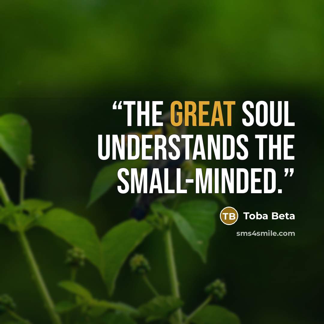 “The great soul understands the small-minded.” quote by Toba Beta