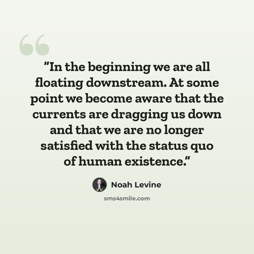 “In the beginning we are all floating downstream. At some point we become aware that the currents are dragging us down and that we are no longer satisfied with the status quo of human existence.” quote by Noah Levine