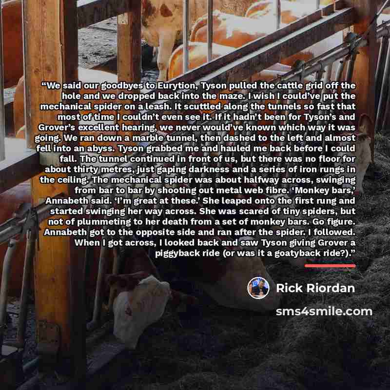“We said our goodbyes to Eurytion, Tyson pulled the cattle grid off the hole and we dropped back into the maze. I wish I could’ve put the mechanical spider on a leash. It scuttled along the tunnels so fast that most of time I couldn’t even see it. If it hadn’t been for Tyson’s and Grover’s…” quote by Rick Riordan