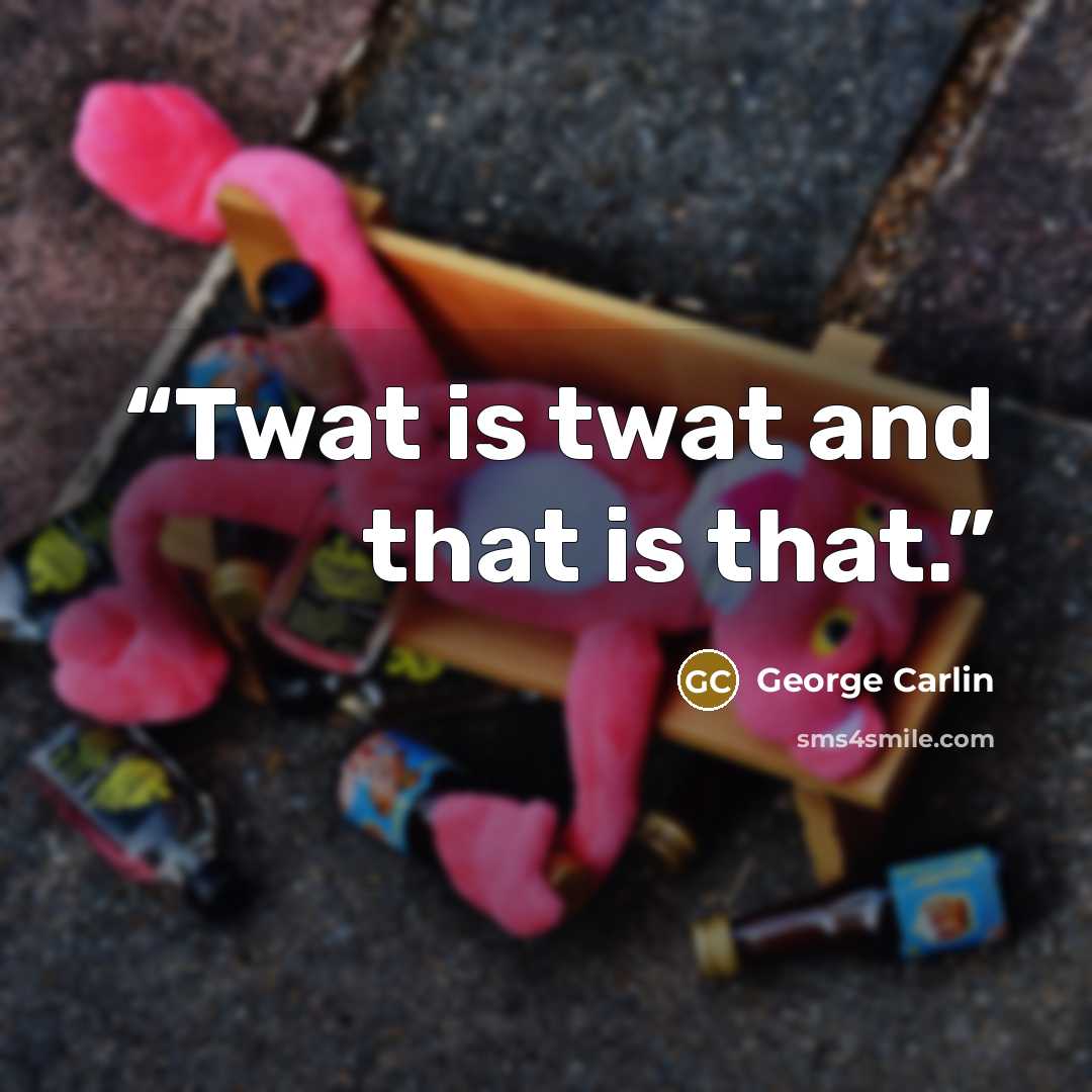 “Twat is twat and that is that.” quote by George Carlin