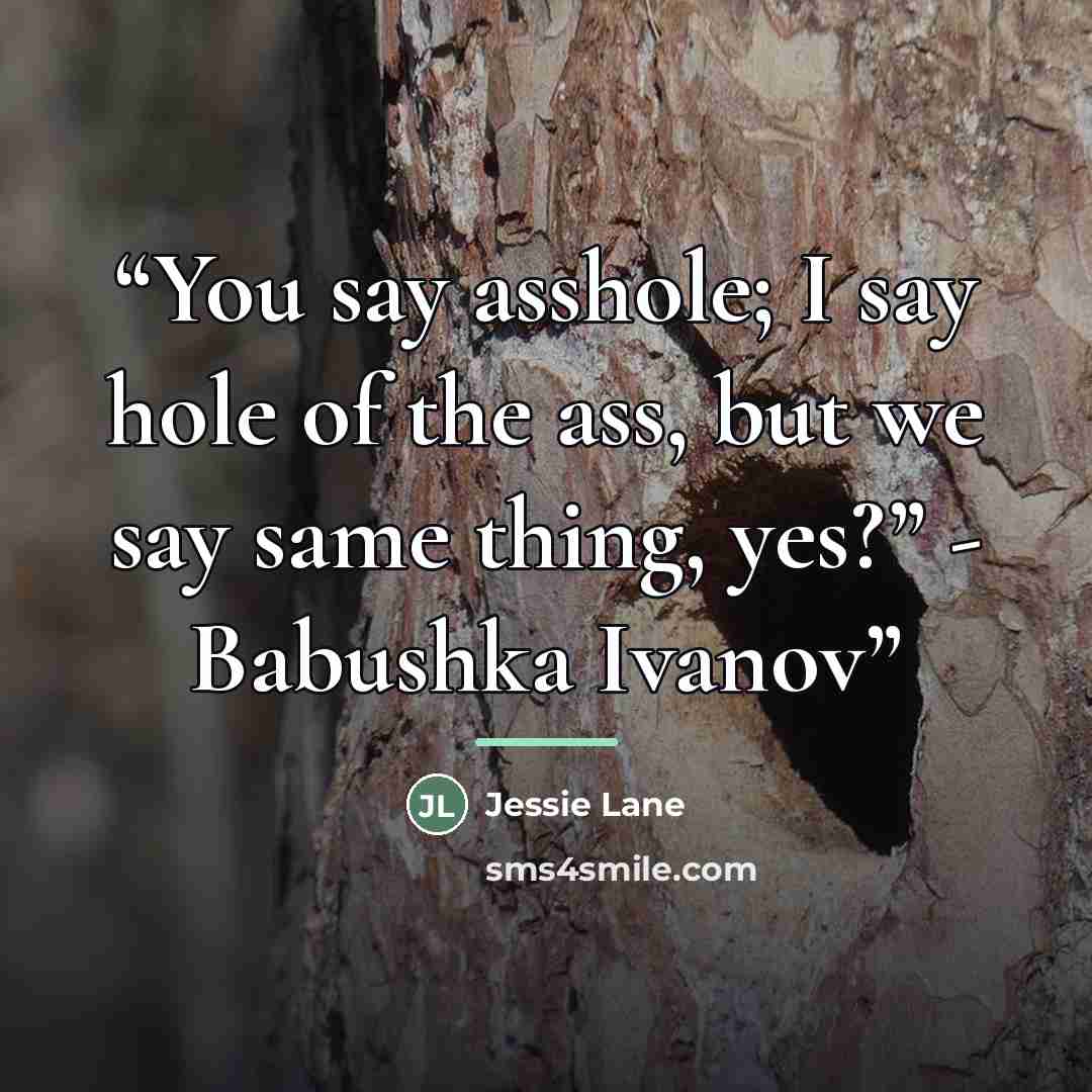“You say asshole; I say hole of the ass, but we say same thing, yes?” - Babushka Ivanov” quote by Jessie Lane