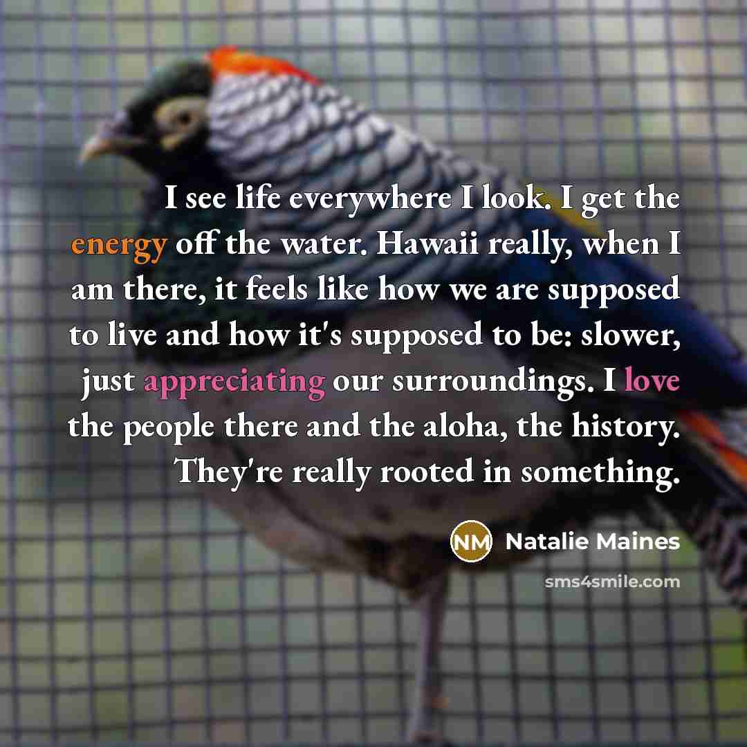 “I see life everywhere I look. I get the energy off the water. Hawaii really, when I am there, it feels like how we are supposed to live and how it's supposed to be: slower, just appreciating our surroundings. I love the people there and the aloha, the history. They're really rooted in something.” quote by Natalie Maines