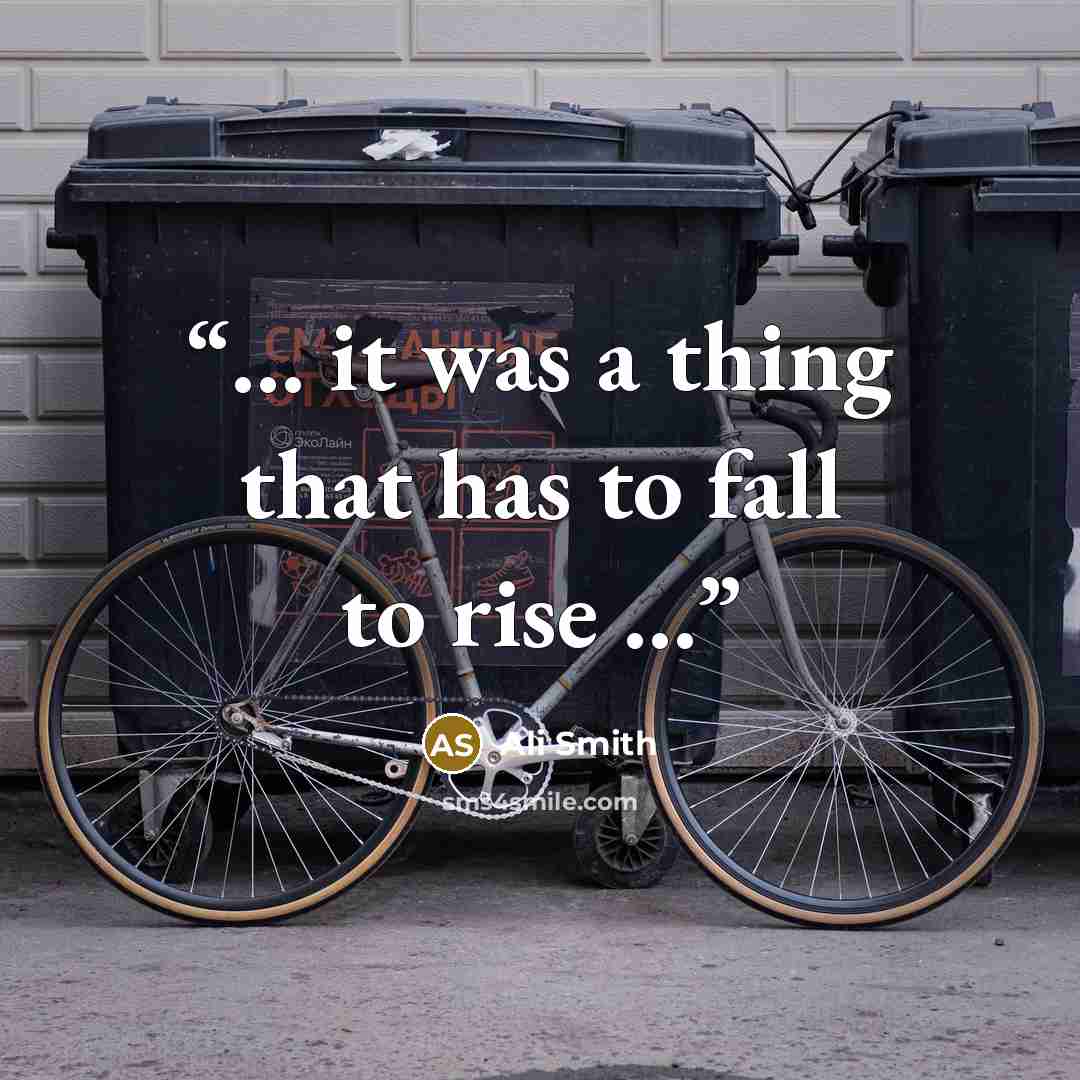 “… it was a thing that has to fall to rise …” quote by Ali Smith