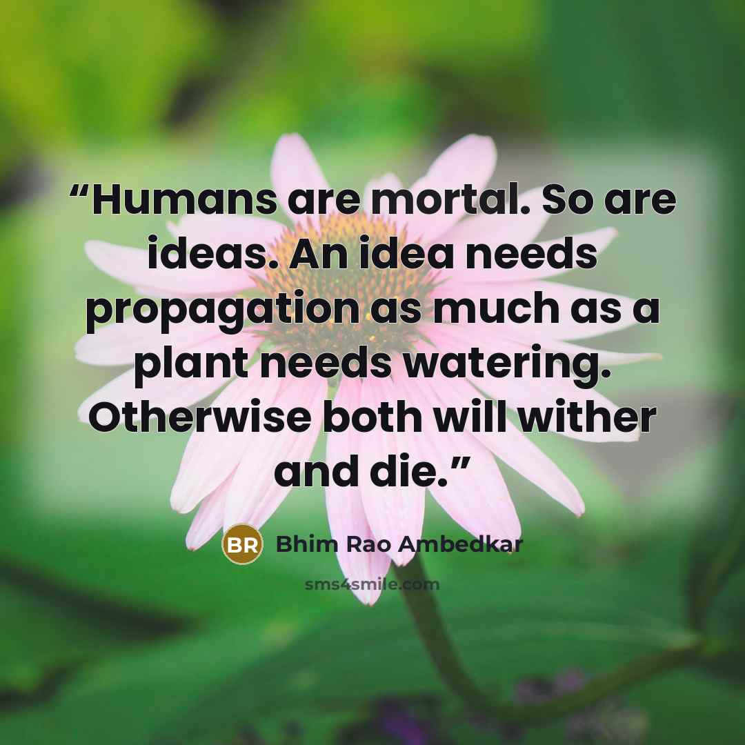 “Humans are mortal. So are ideas. An idea needs propagation as much as a plant needs watering. Otherwise both will wither and die.” quote by Bhim Rao Ambedkar