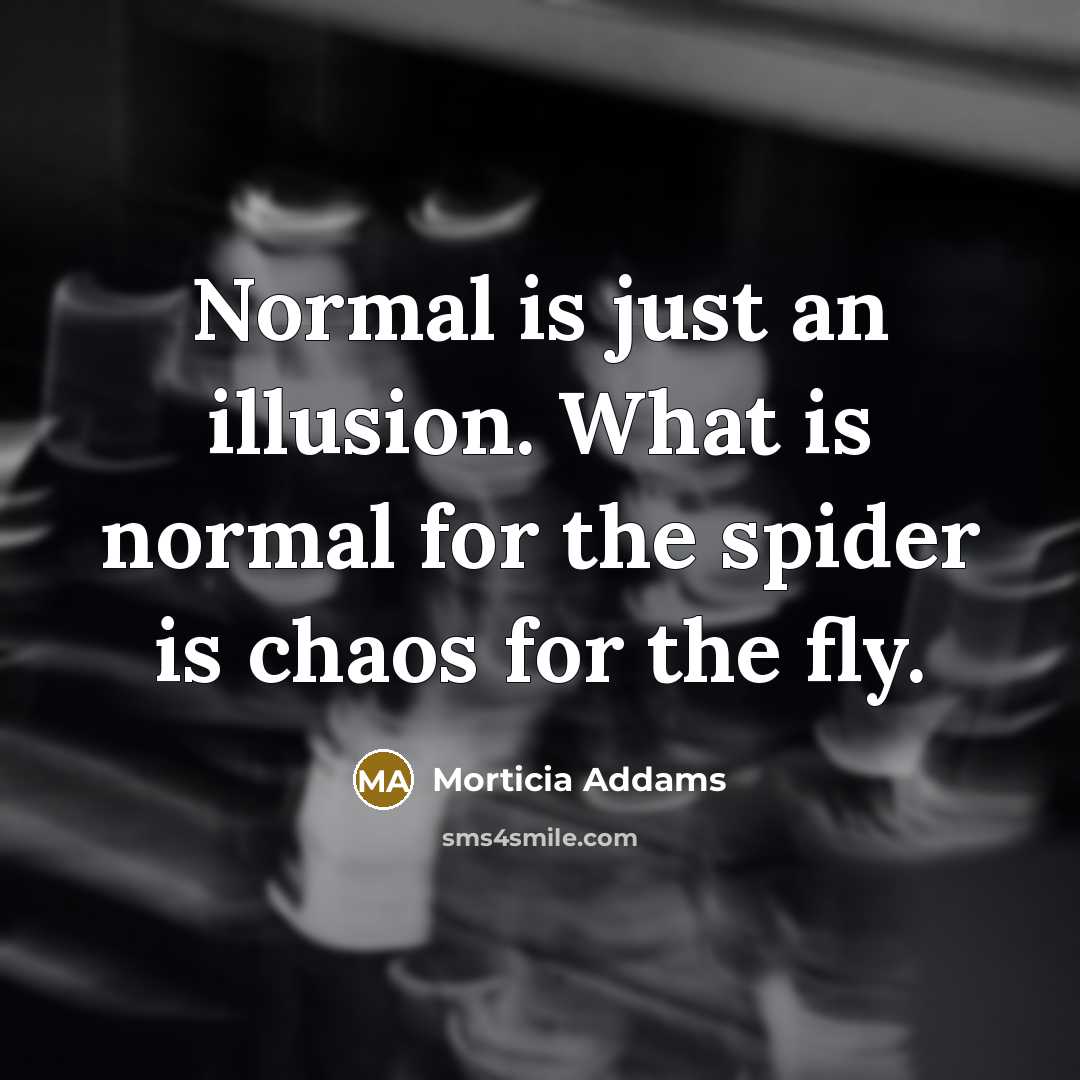 “Normal is just an illusion. What is normal for the spider is chaos for the fly.” quote by Morticia Addams